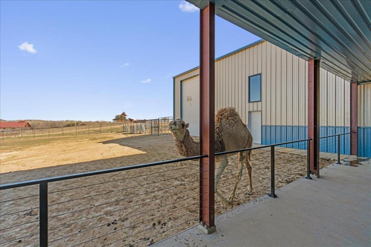 Blue Hills Ranch Hotel McGregor Exterior foto